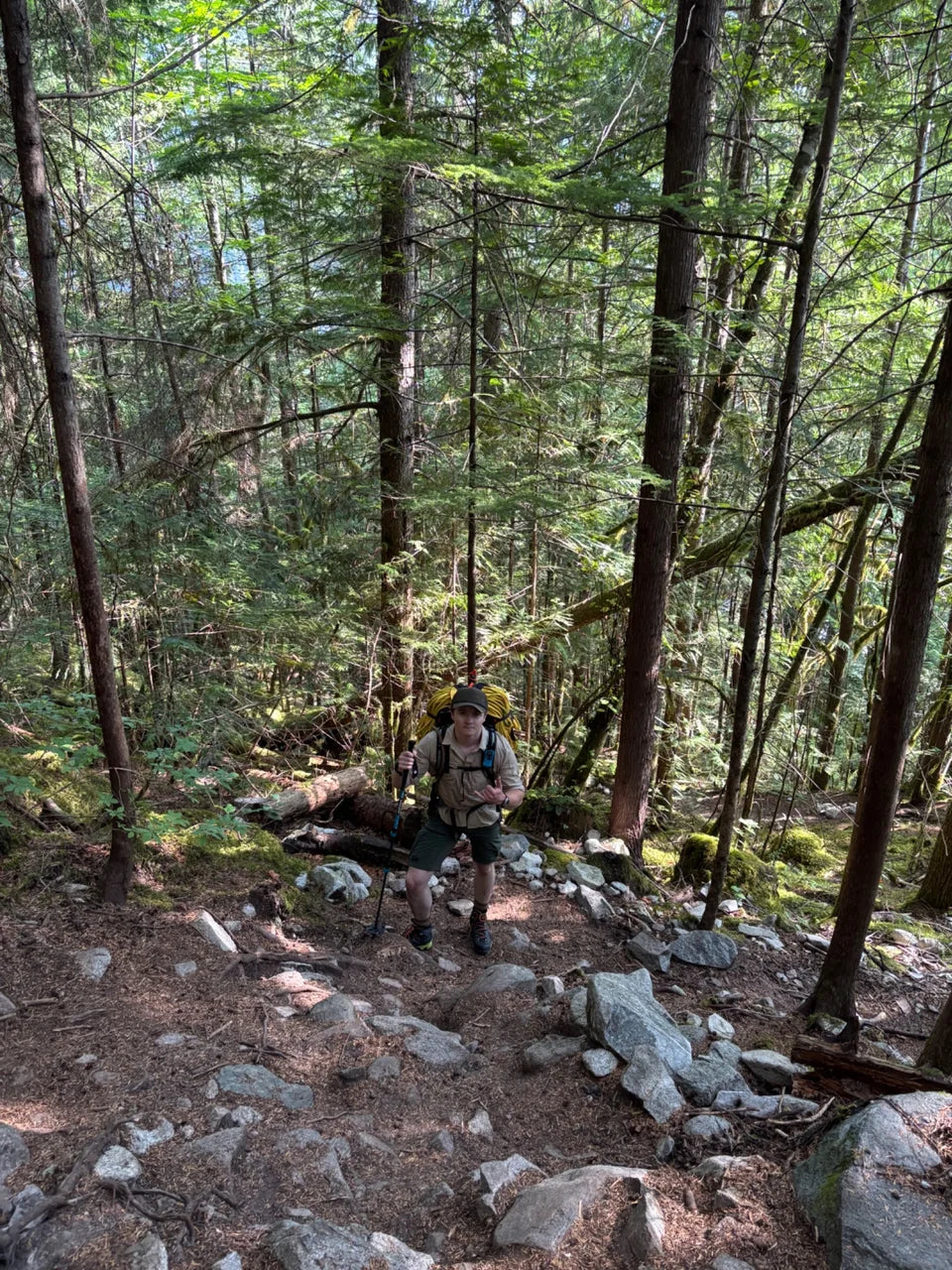 Oscar resting on the rocky trail beneath tall forest trees.