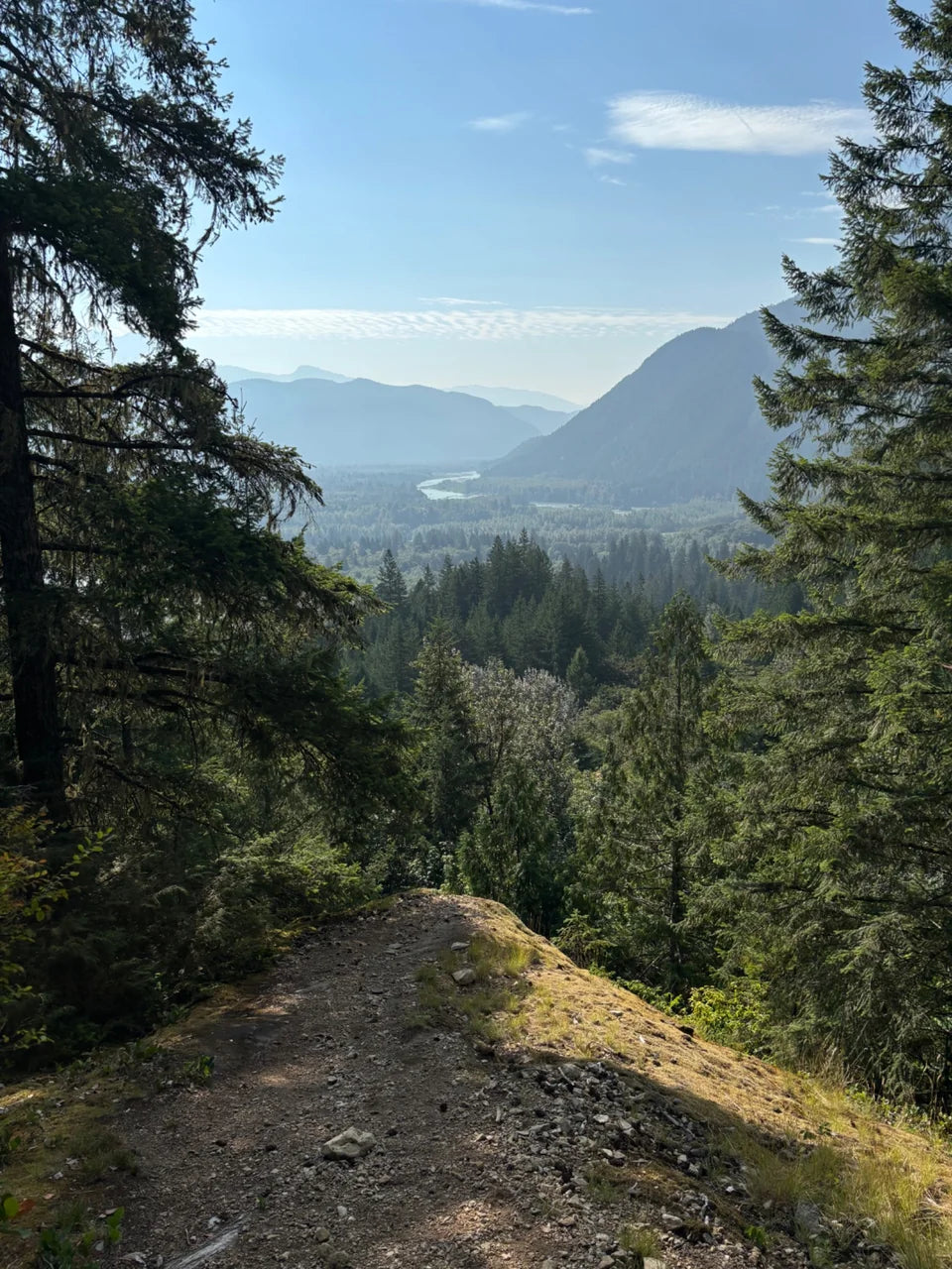 The Squamish Valley seen through trees from a rocky lookout.