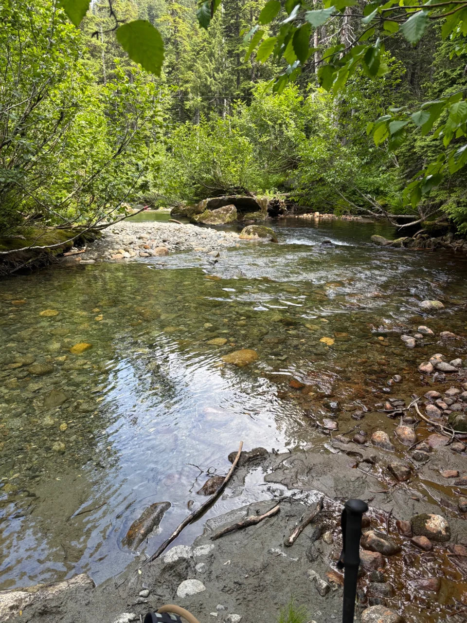 Clear Sigurd Creek flowing over rocks beneath green foliage.