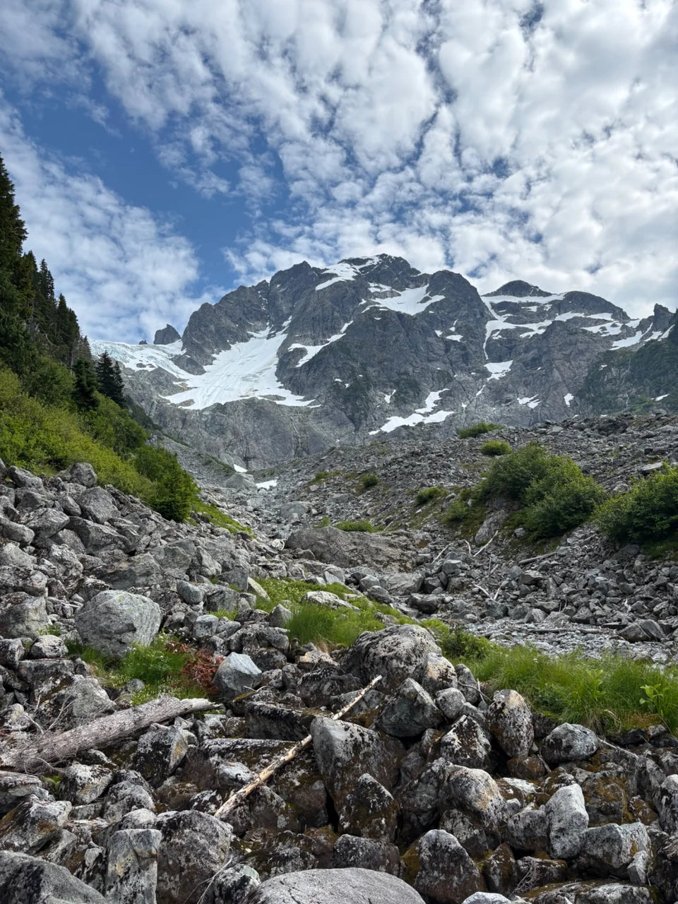 The rocky slopes and snowfields of Mt. Pelion beyond the tree line.