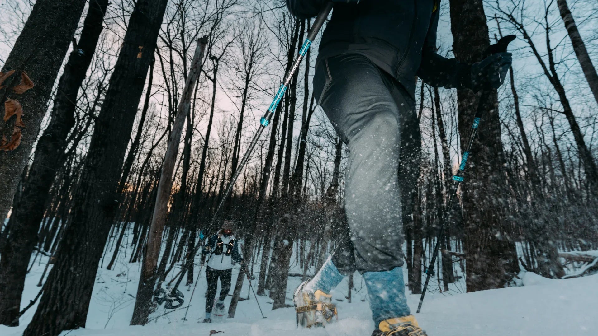 Trekking Poles - WindQuester
