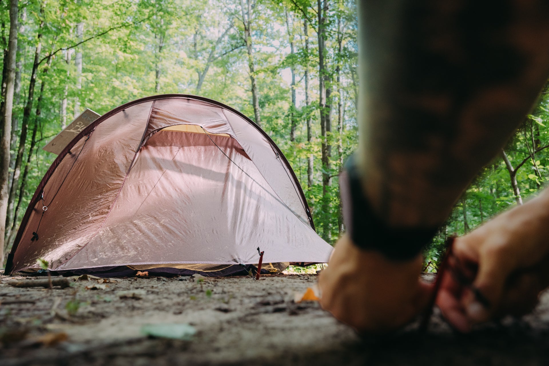 Tents