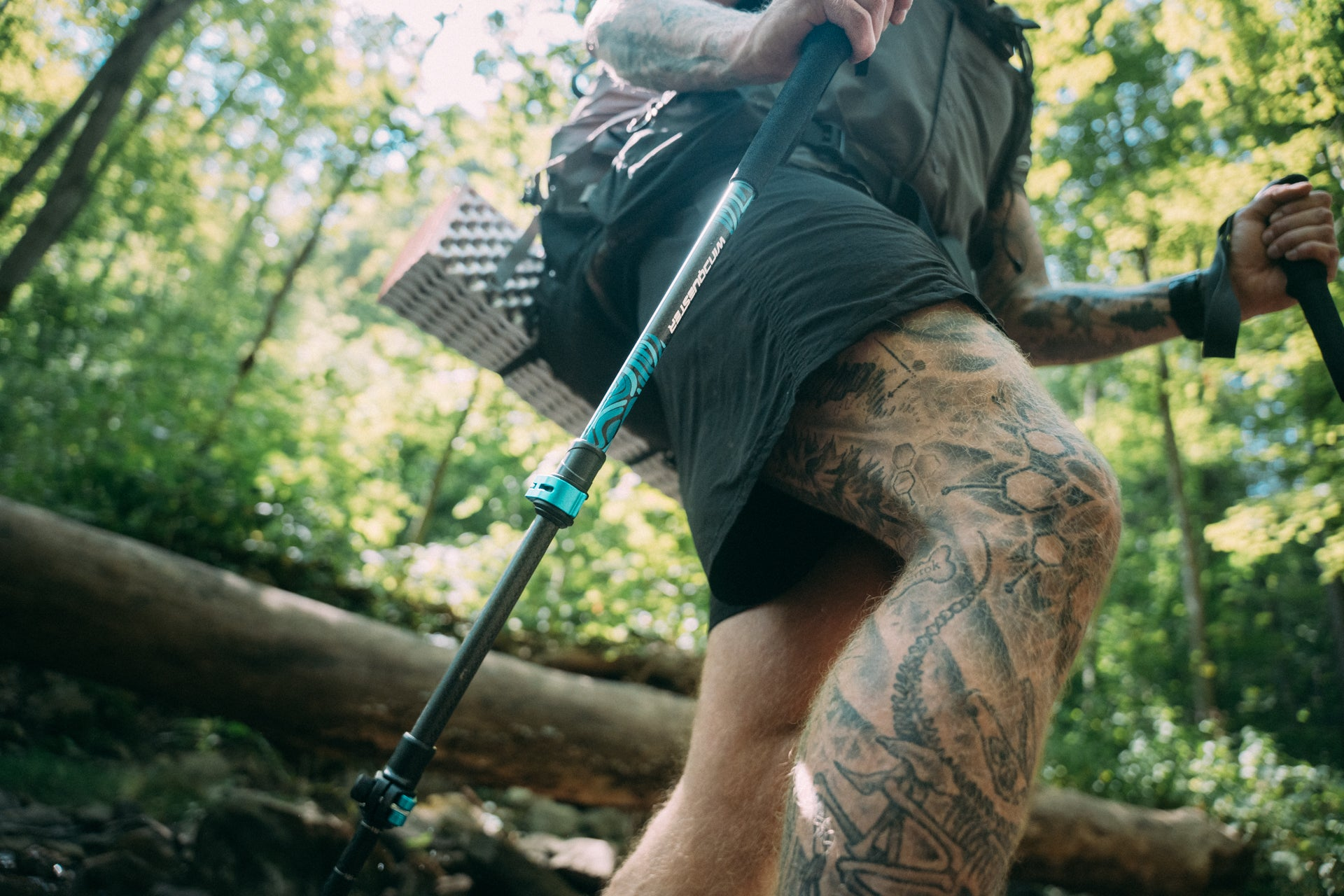 Trekking Poles