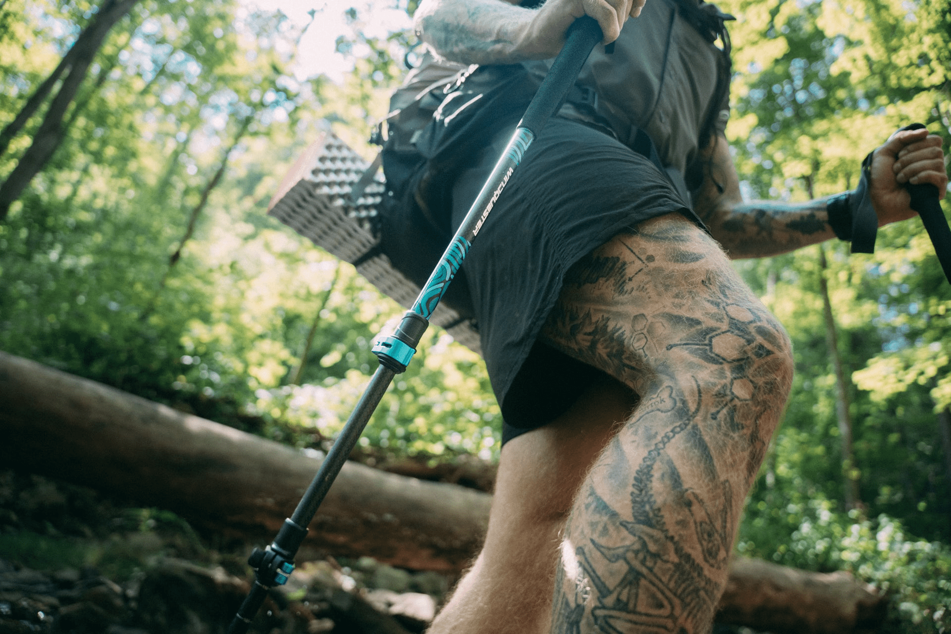 Trekking Poles - WindQuester