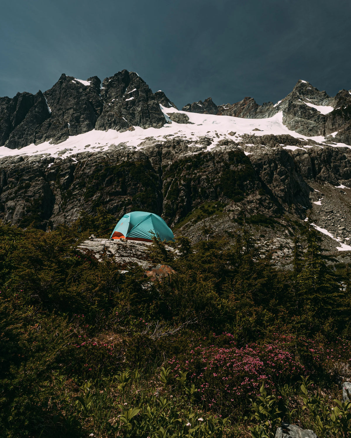 WindQuester gear in the wet coast landscape